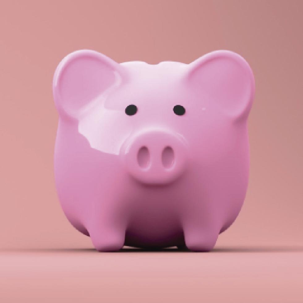 ¿Cuál es la importancia de la economía en la vida diaria?