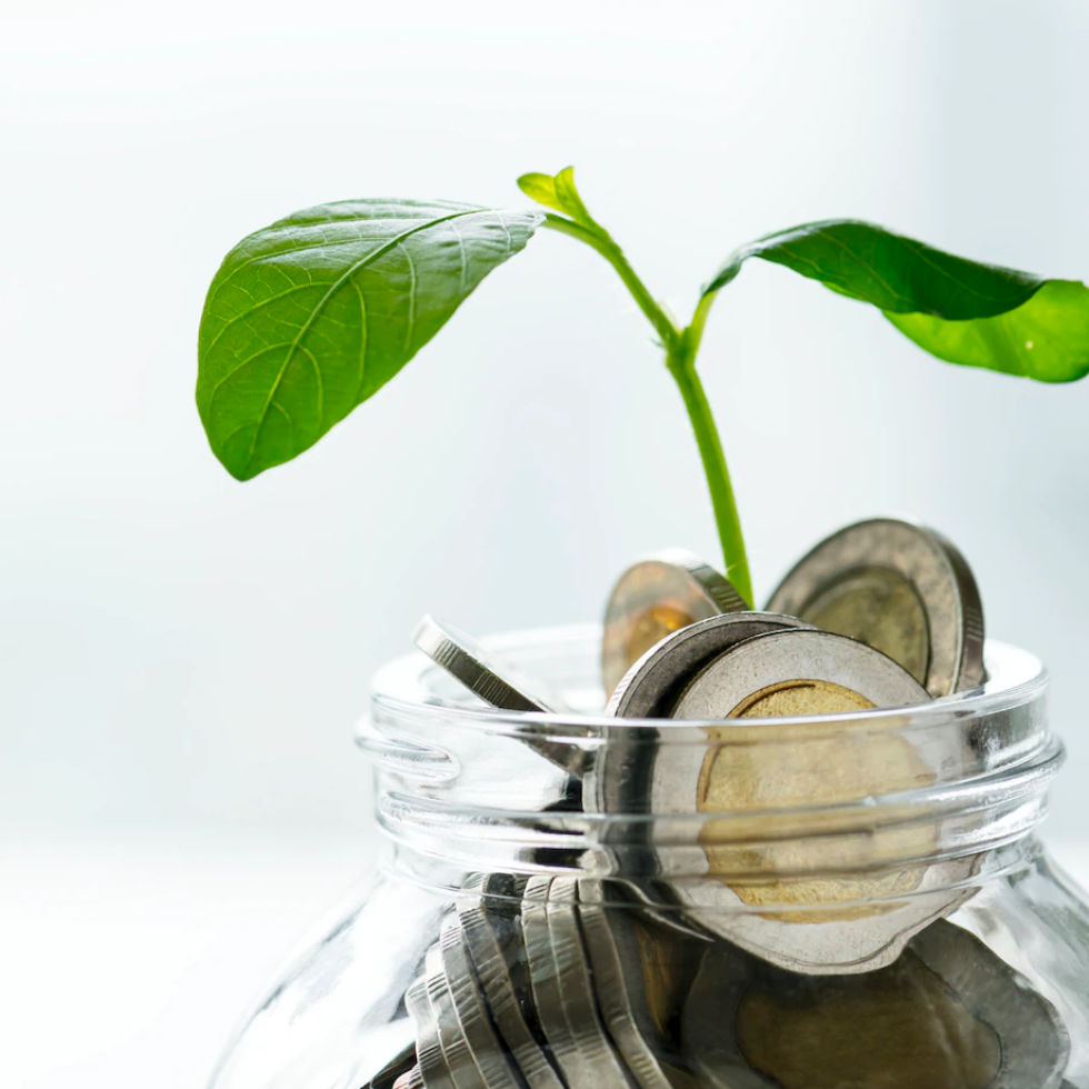 Ahorrar o invertir: conozca sus diferencias para empezar